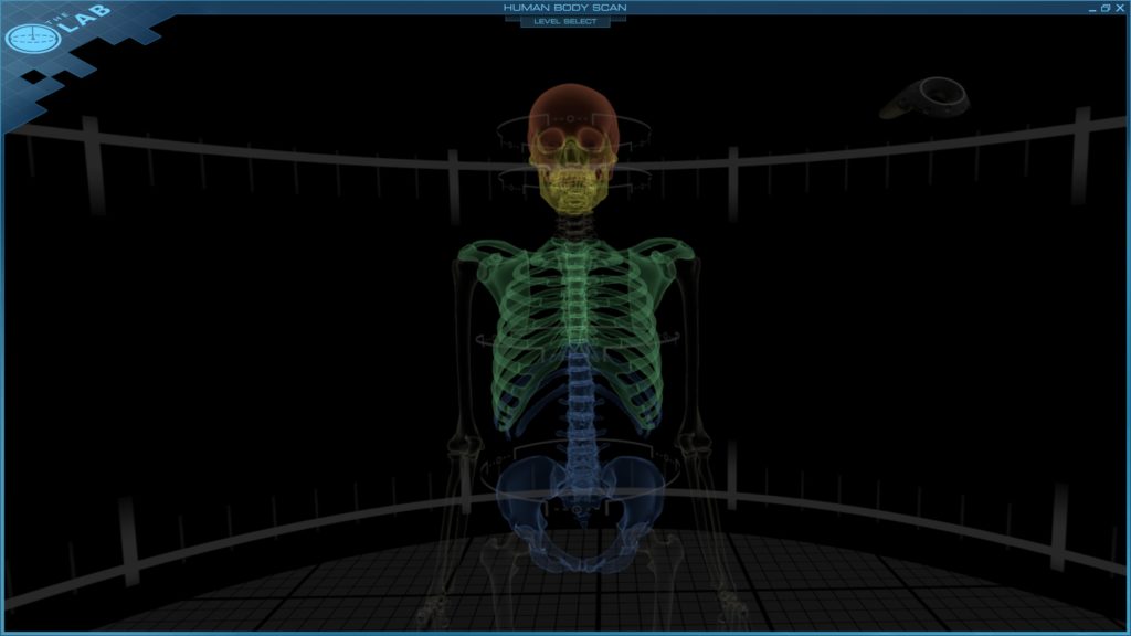 Front Shot of Skeleton from Virtual Reality Headset