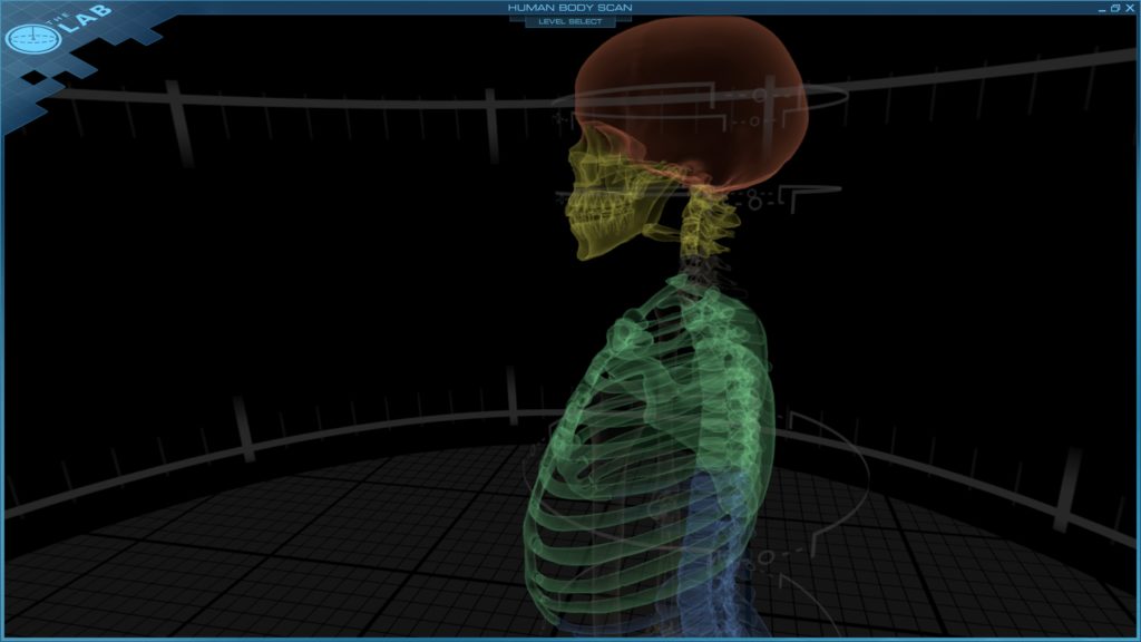 Side Shot of Skeleton from Virtual Reality Headset