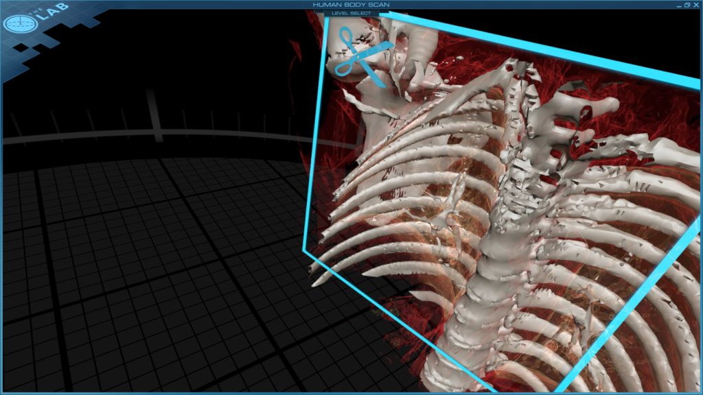 Spinal Shot of Skeleton from Virtual Reality Headset